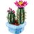 LEGO® Coleção Botânica – Cacto florido
